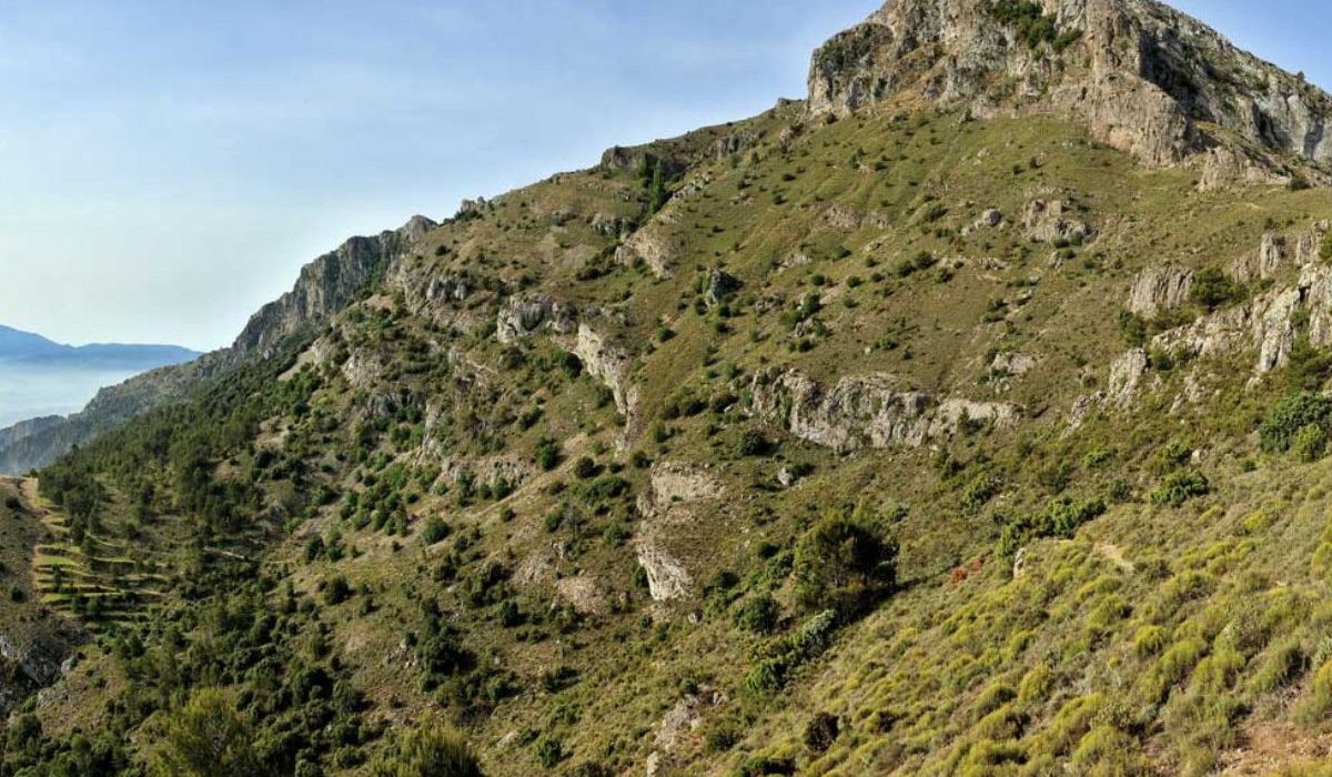 sabores del campo: la ruta gastonomica de la Sierra de Mariola