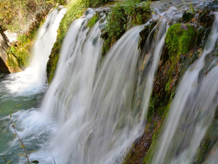 fuentes del algar